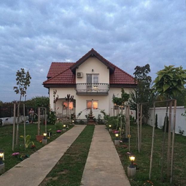 Blue Sky House Hotel Balotesti Luaran gambar